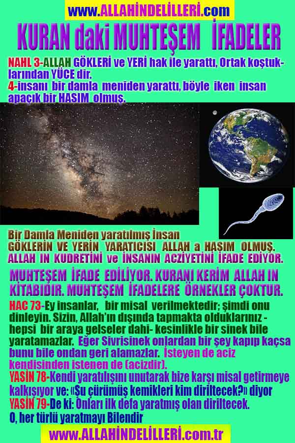 allahin delilleri, yaratiliş delilleri