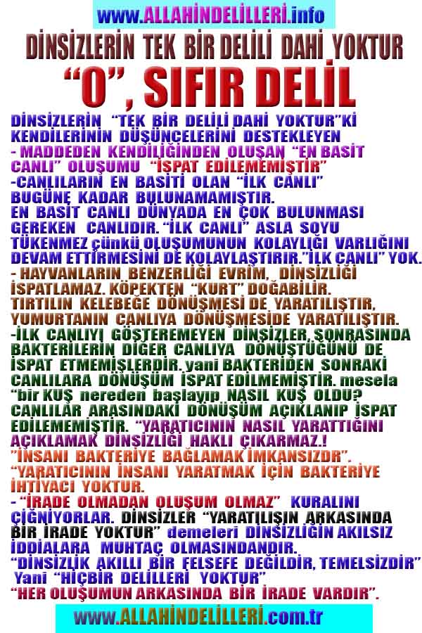 allahin delilleri, yaratiliş delilleri