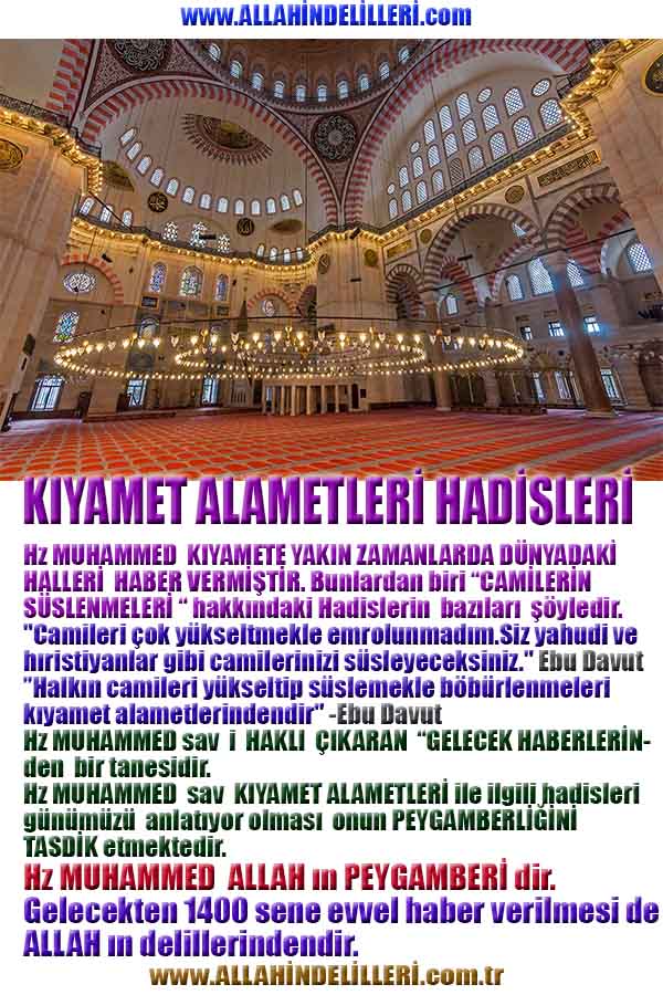 allahin delilleri, yaratiliş delilleri