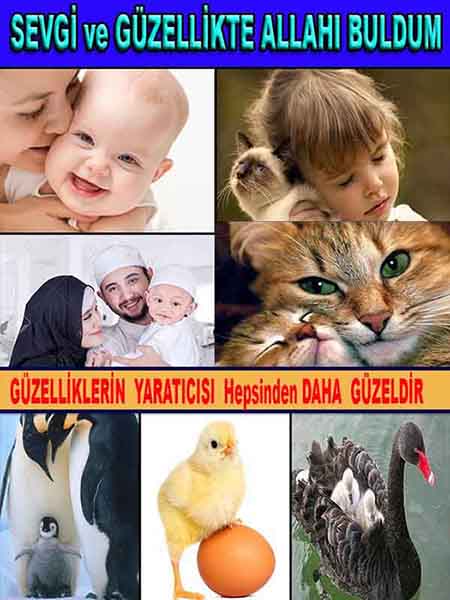 allahin varliginin delilleri, allahin delilleri