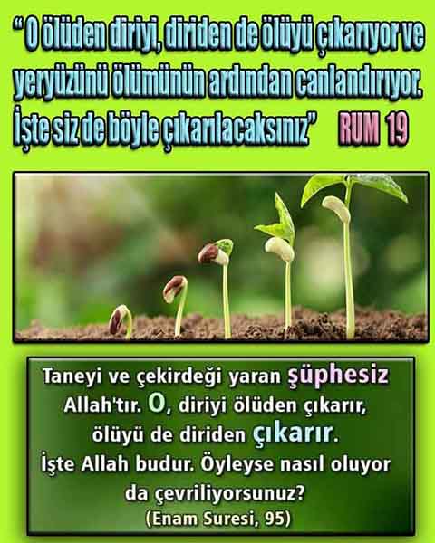 allahin delilleri, yaratiliş delilleri