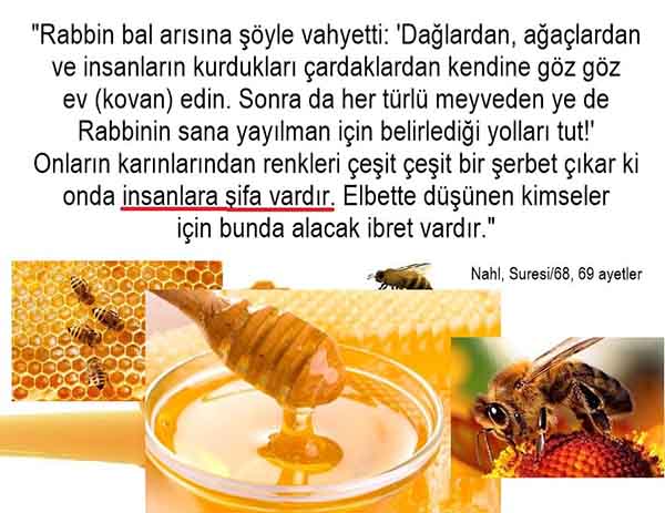 allahin delilleri, yaratiliş delilleri