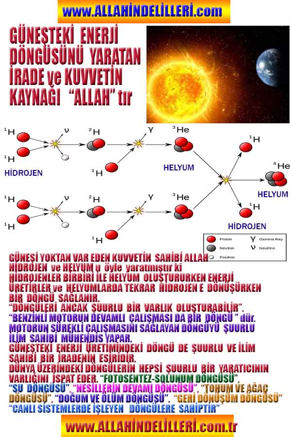 allahin delilleri, yaratiliş delilleri