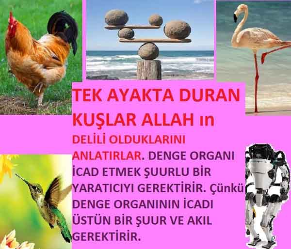 allahin delilleri, yaratiliş delilleri