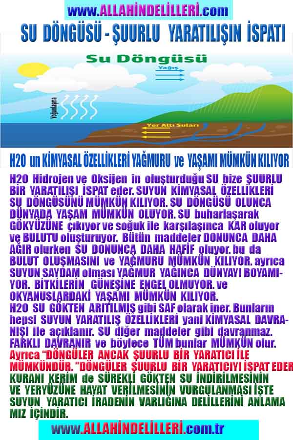 allahin delilleri, yaratiliş delilleri