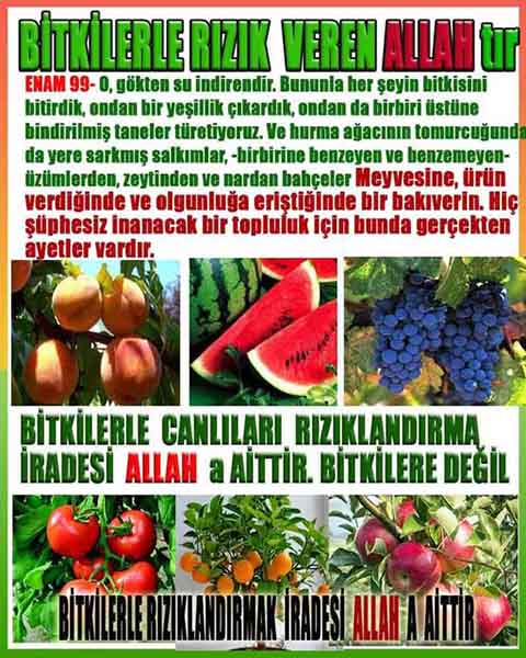 allahin delilleri, yaratiliş delilleri