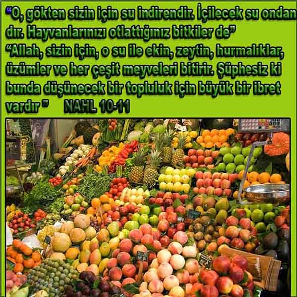 allahin delilleri, yaratiliş delilleri