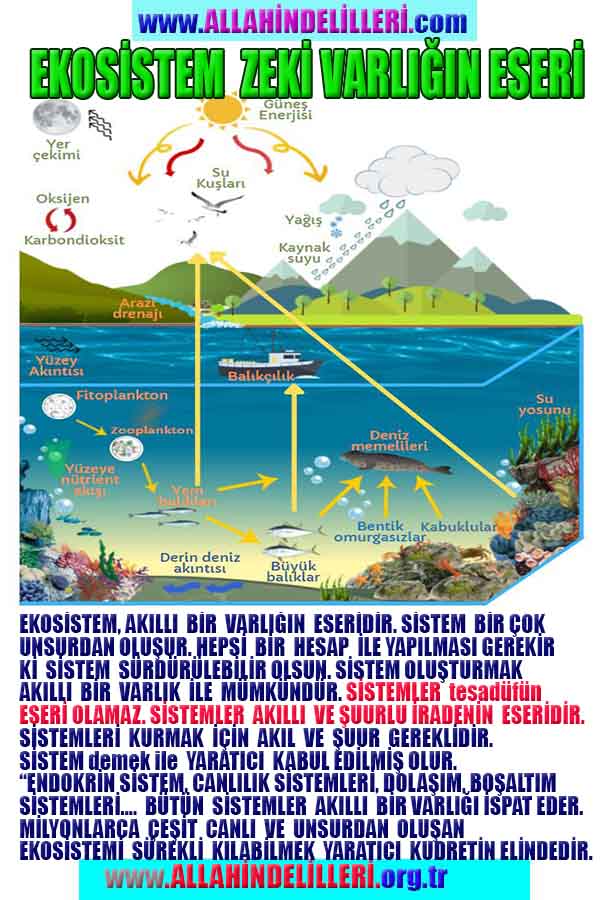 allahin delilleri, yaratiliş delilleri