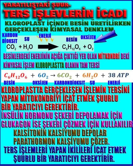 allahin delilleri, yaratiliş delilleri