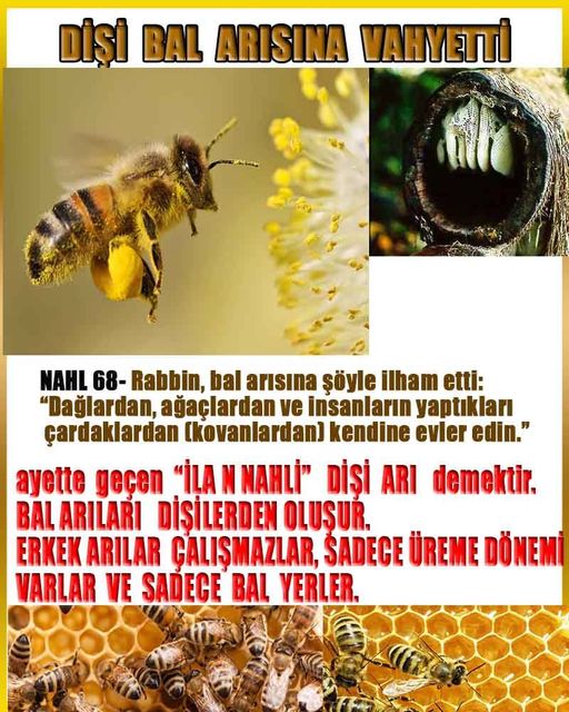 allahin delilleri, yaratiliş delilleri