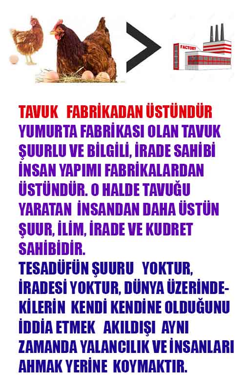 allahin varliginin delilleri, allahin delilleri