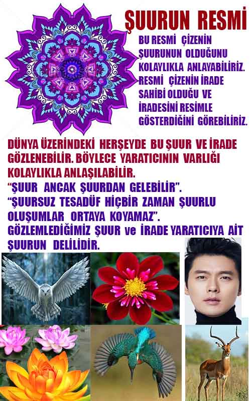 allahin varliginin delilleri, allahin delilleri