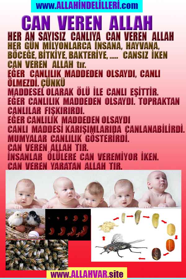 allahin delilleri, yaratiliş delilleri