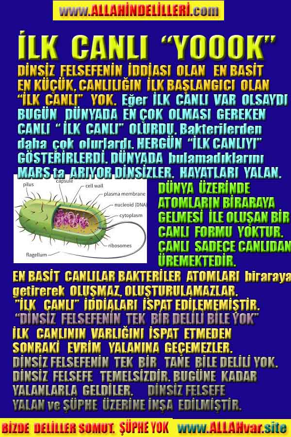 allahin delilleri, yaratiliş delilleri