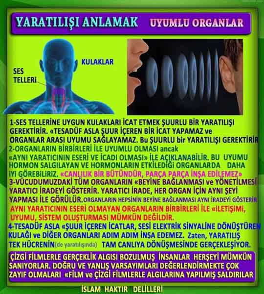 allahin delilleri, yaratiliş delilleri