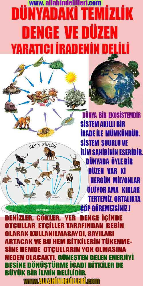 allahin varliginin delilleri, allahin delilleri, allah-delilleri, allah delil, allah var delilleri