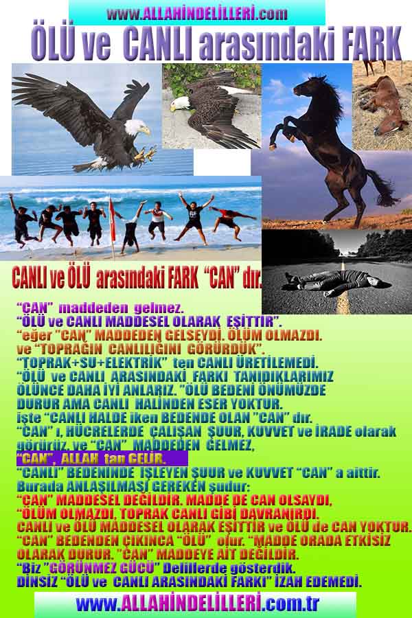 allahin varliginin delilleri, allahin delilleri, allah-delilleri, allah delil, allah var delilleri