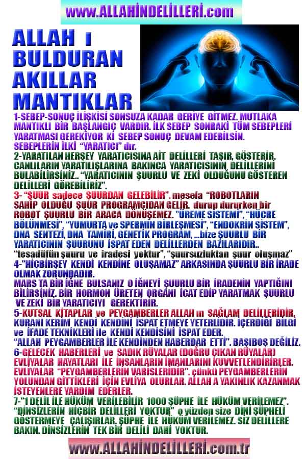 allahin delilleri, yaratiliş delilleri