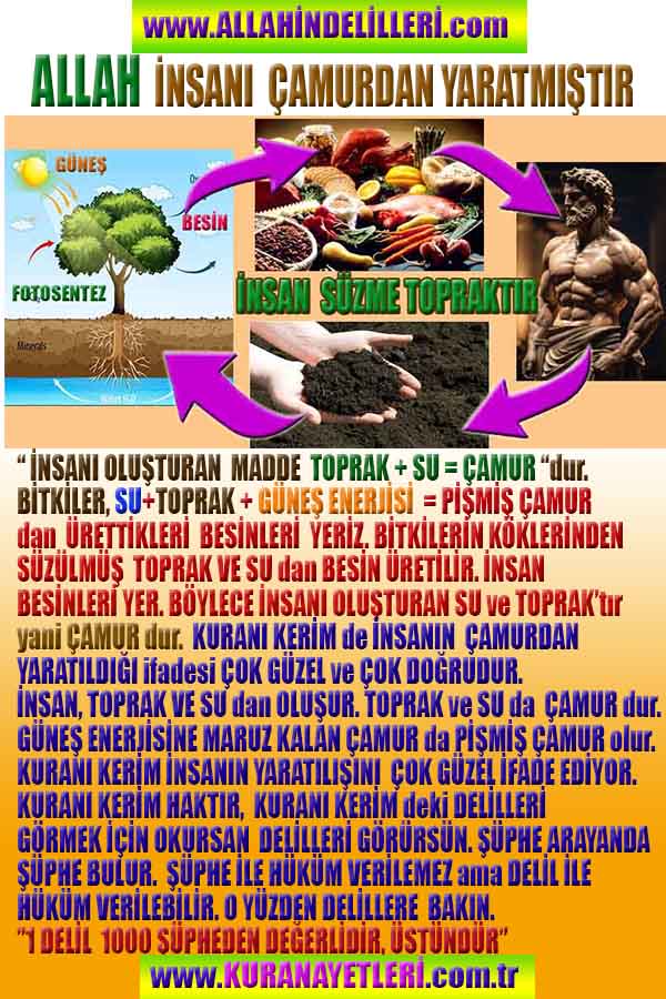 allahin delilleri, yaratiliş delilleri